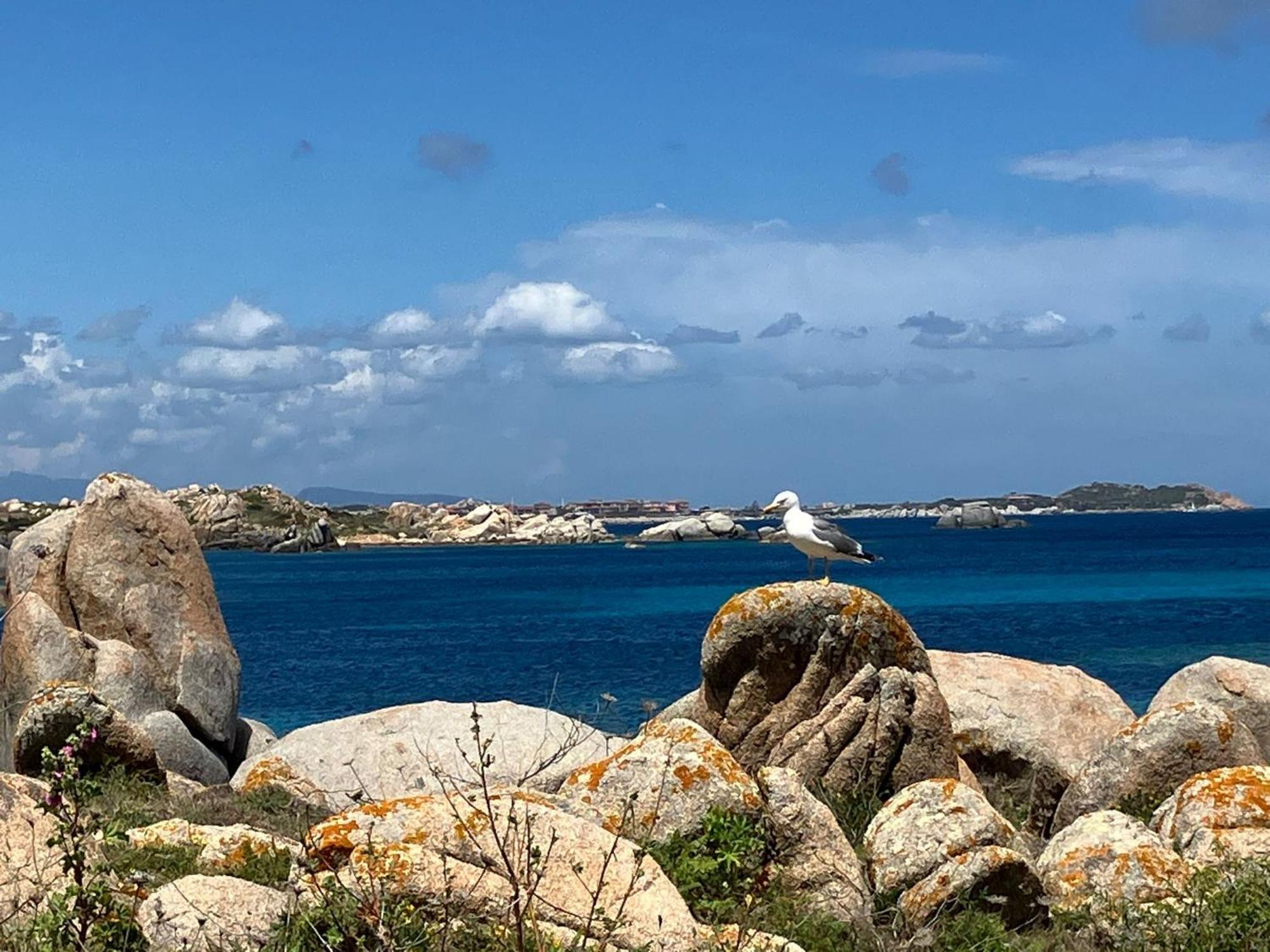 Maison Non Fumeur - Jardin 5 Personnes Proche Des Plages Finisteriennes Guipavas Exteriör bild